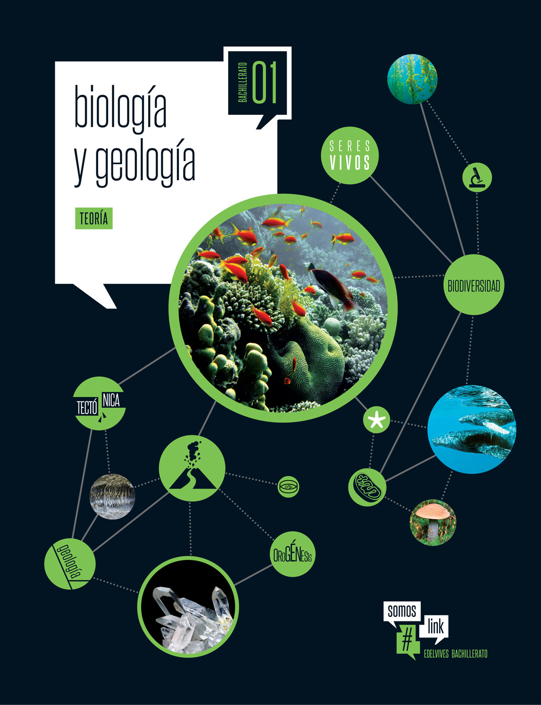 Solucionario Biologia y Geologia 1 Bachillerato Edelvives Somos Link PDF Ejercicios Resueltos-pdf