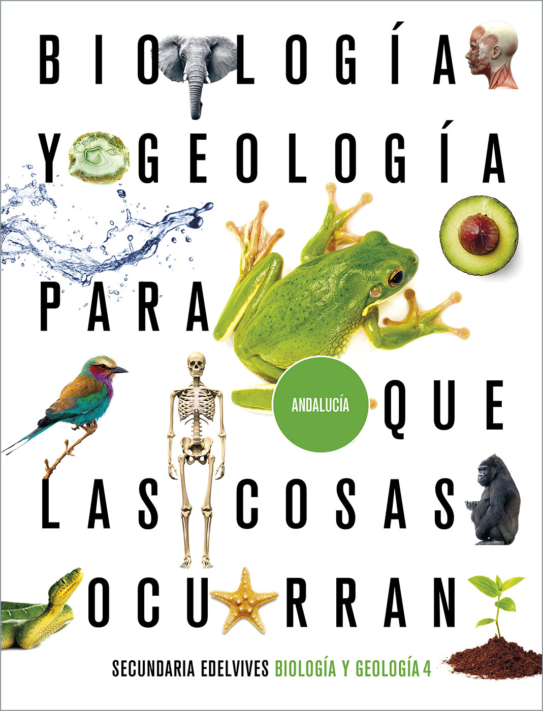 Solucionario Biologia y Geologia 4 ESO Edelvives Para que las Cosas Ocurran Soluciones PDF-pdf